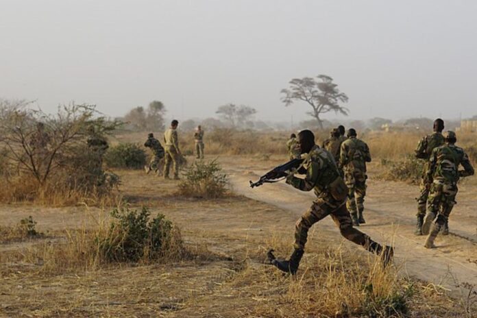 Bénin Égypte l’hydre terroriste