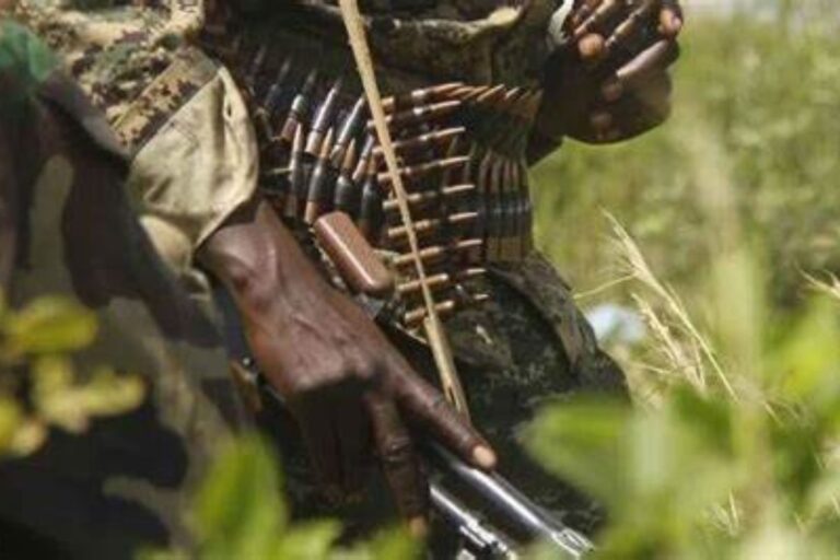 Bénin Attaque terroriste Banikoara,Afrique de l’Ouest