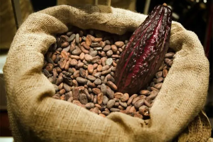 Cacao Côte d'Ivoire