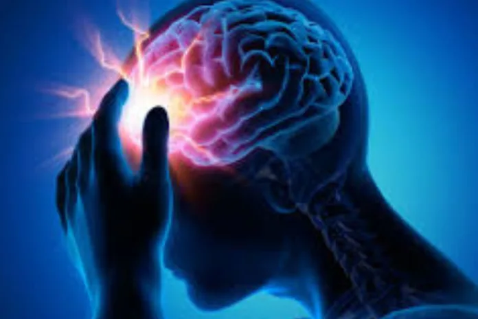 sucre cerveau science