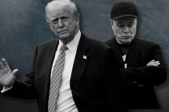 Trump Musk MAGA
