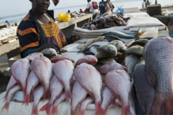 Togo pêche
