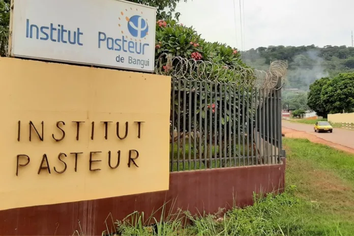Centrafrique Institut Pasteur Bangui