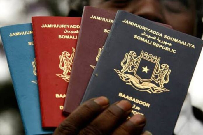 Le classement 2025 des passeports africains qui ouvrent le plus de portes classement 2025 passeports africains