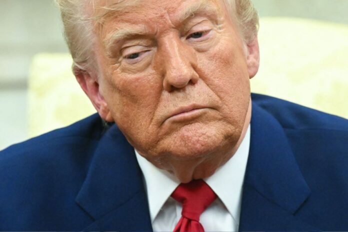 Donald Trump réagit à la rencontre inédite Chine-Russie-Corée du Nord Donald Trump réagit à la rencontre inédite Chine-Russie-Corée du Nord