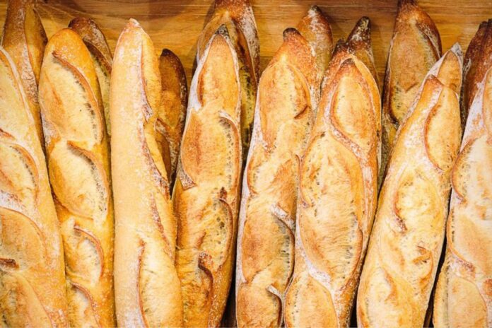 Universitaire boulangère pain