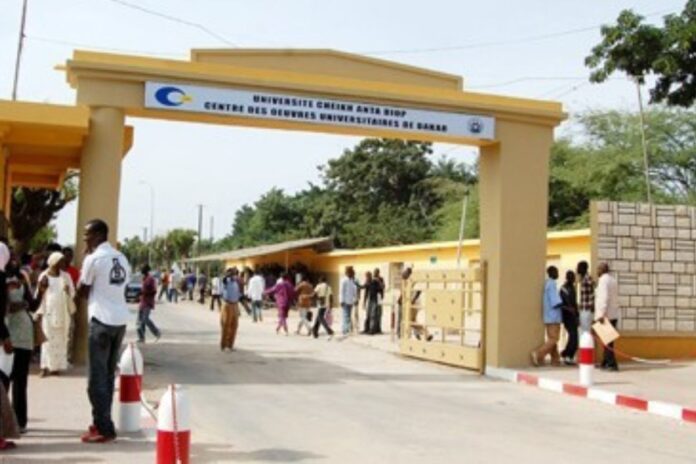 Sénégal gouvernement faux diplômes doctorat