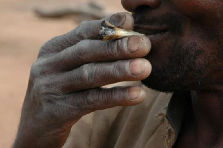 Sénégal : la consommation de drogues inquiète les autorités sanitaires
