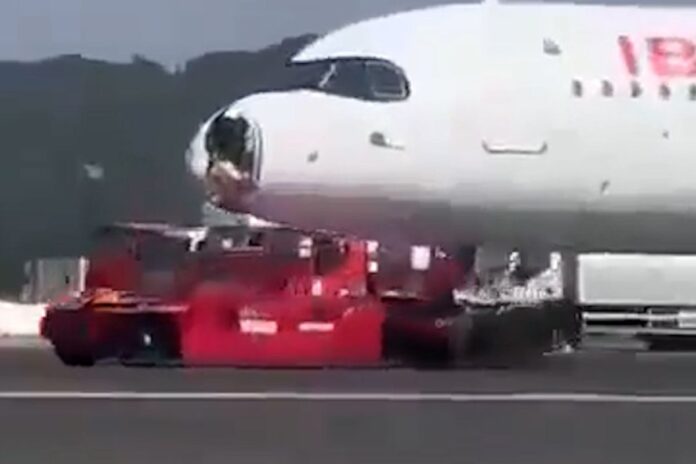 vol Madrid-Paris collision oiseau