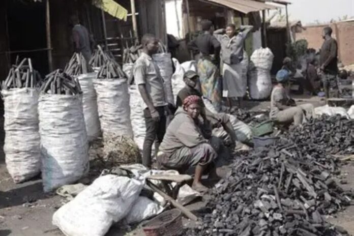 Bénin marché charbon pétrole 