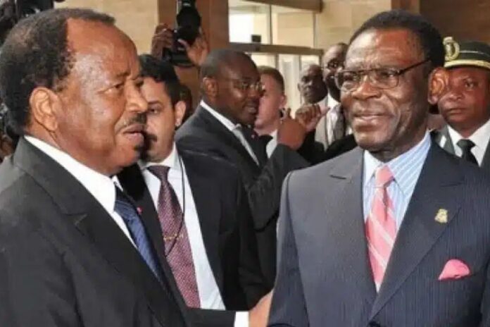 Chef d'État président africains Paul Biya