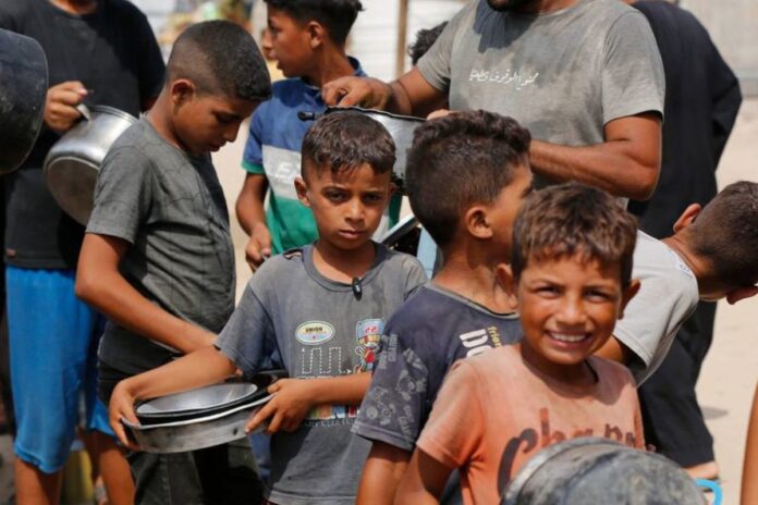 Gaza : l’ONU confirme une famine touchant près d’un demi-million de personnes