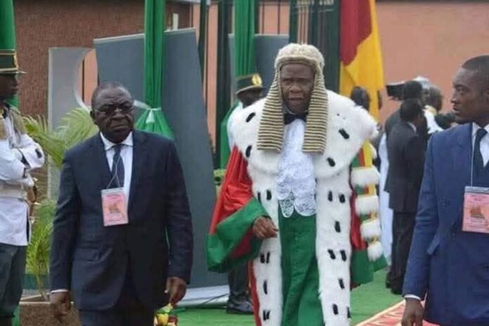 Présidentielle 2025 Cameroun Maurice Kamto Conseil constitutionnel