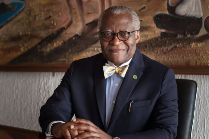 Présidentielle au Cameroun : Akere Muna joue sa dernière carte contre Paul Biya