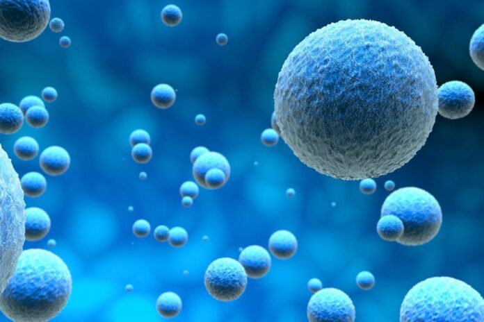 Santé : ces cellules protectrices pourraient favoriser l’apparition de cancers