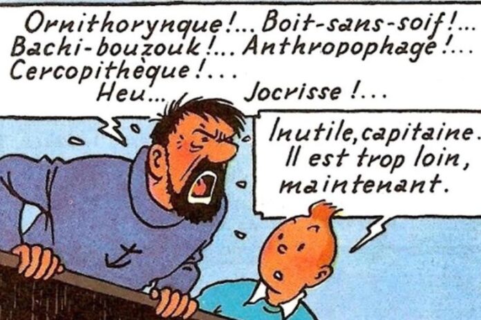 Santé bienfaits gros mots