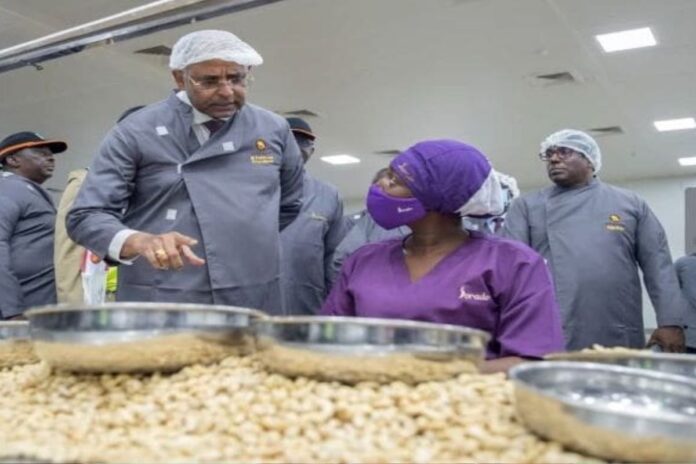 Côte d’Ivoire : une usine de 15 milliards FCFA inaugurée pour dynamiser la filière noix de cajou