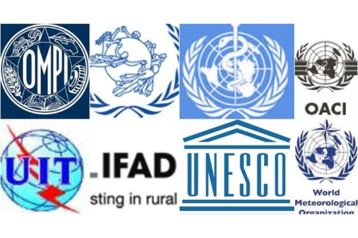 ONU : les profils les plus recherchés dans le système des Nations Unies