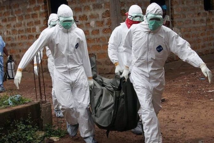 Sénégal : la fièvre de la vallée du Rift fait 11 morts sur 78 cas confirmés