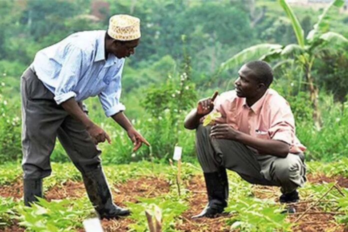 Le Bénin décroche 74,5 milliards FCFA pour l’agriculture et l’eau potable Le Bénin décroche 74,5 milliards FCFA pour l’agriculture et l’eau potable