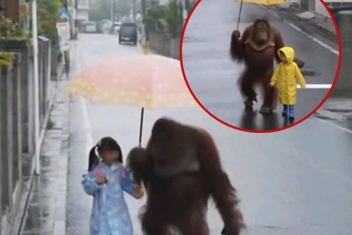 Indonésie : un orang-outan géant protège des enfants de la pluie