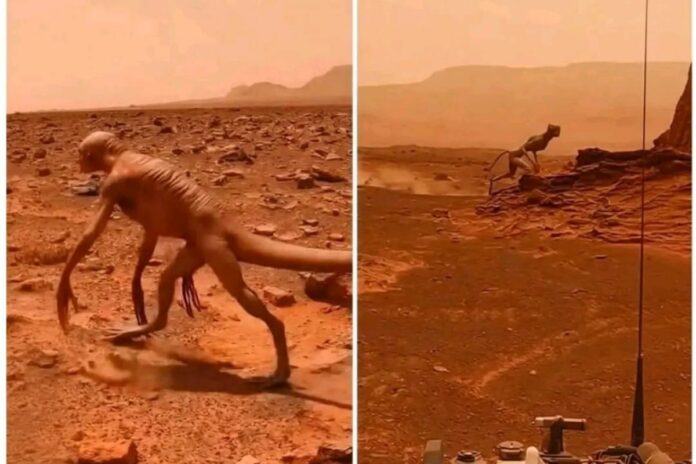 Une « créature non terrestre » capturée sur Mars 