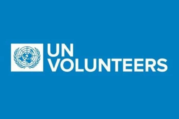 Appel à candidatures : les Volontaires des Nations Unies recrutent