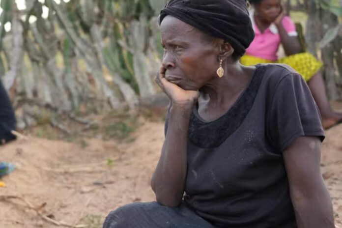 Nigeria : le PAM alerte sur une grave crise alimentaire en 2026