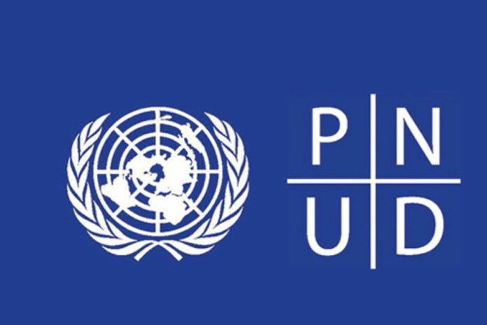 PNUD : cinq postes de volontaires ouverts en ligne