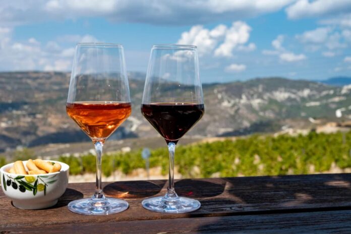 Espagne : 10 000 volontaires recherchés pour boire du vin quotidiennement pendant 4 ans