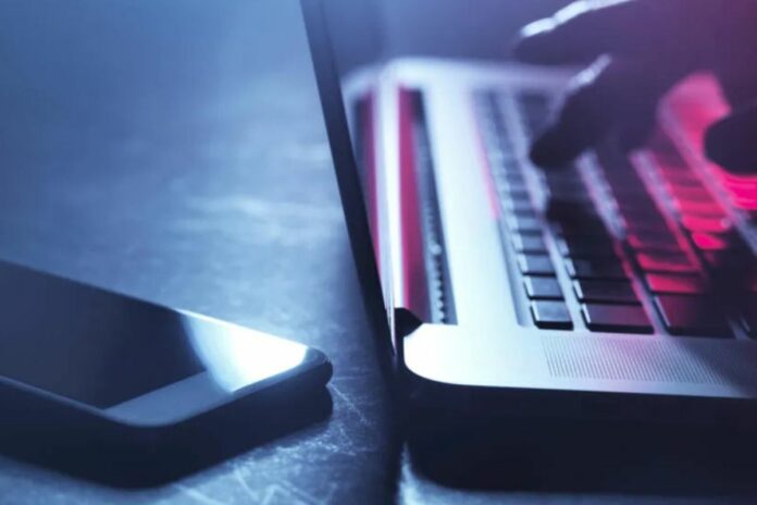 Sénégal : la police démantèle un réseau d’escroquerie sur l’export de plantes médicinales