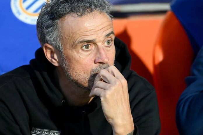 PSG : une victoire dans la douleur face à Lyon, Luis Enrique dénonce les fautifs