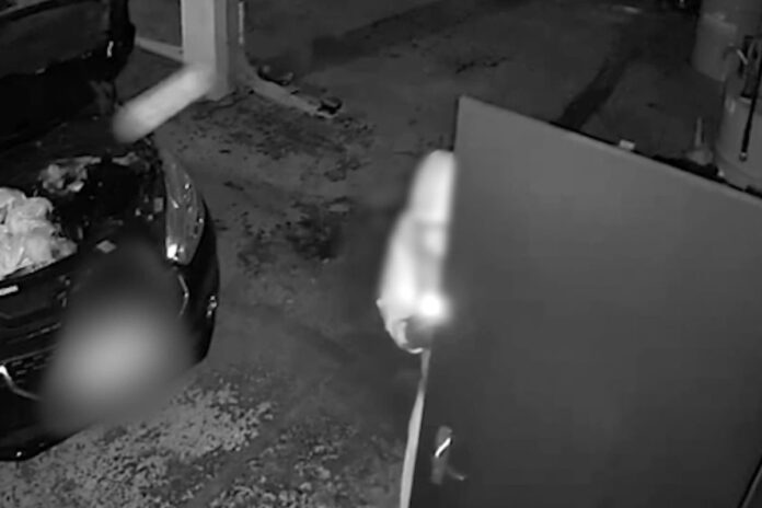 Suisse : « Les voleurs de voitures de luxe n'ont même plus peur »