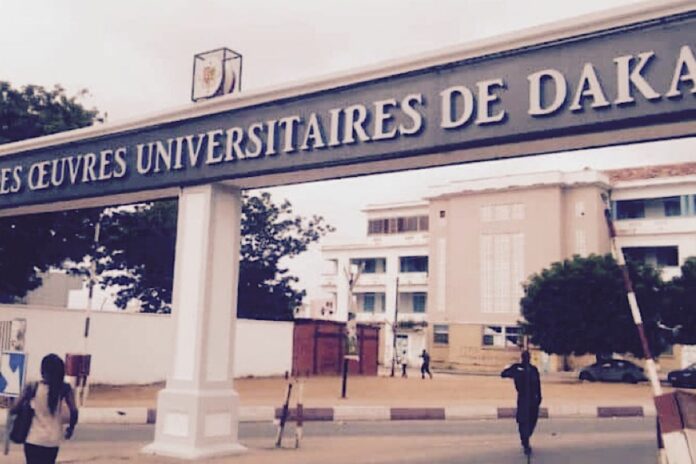 Sénégal : l’UCAD ouvre les candidatures pour le programme Voyage d’études 2026
