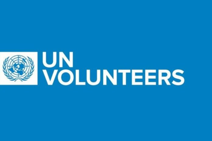 Nations Unies : une offre VNU ouverte, déposez votre candidature