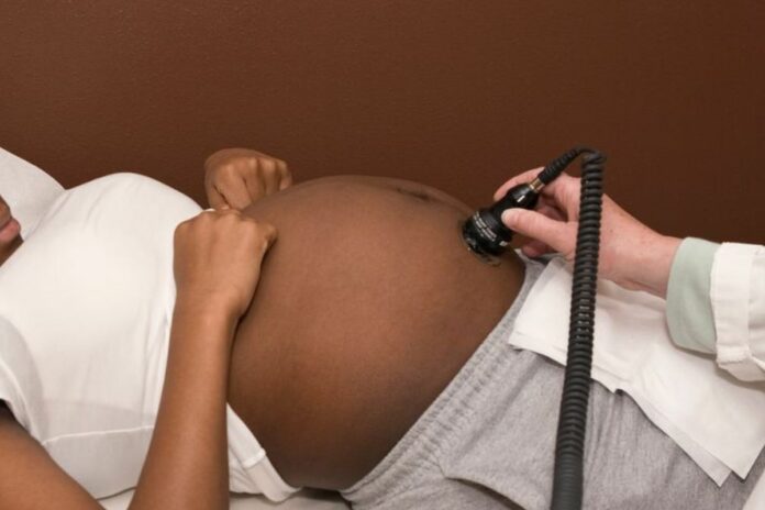 Qualité des ovules : ce que chaque femme doit savoir