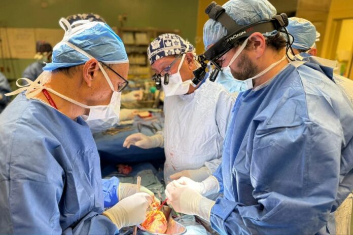 Santé : un fragment de ciment de 10 cm retrouvé dans le cœur d’un patient 