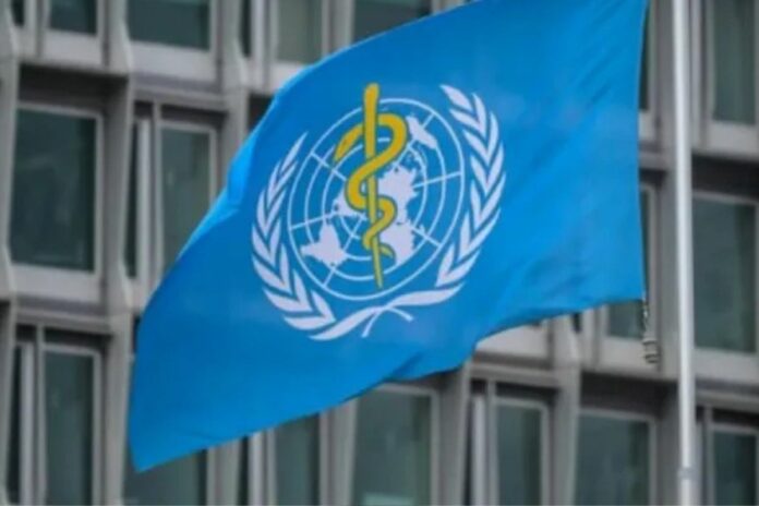 Emploi : l'OMS recrute pour ce poste