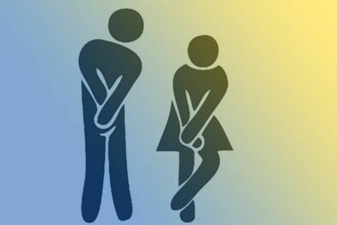 Incontinence urinaire : quelles prises en charge possibles ?