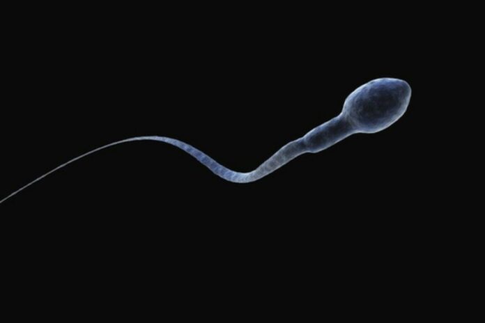 Ce que la couleur du sperme peut indiquer sur votre santé