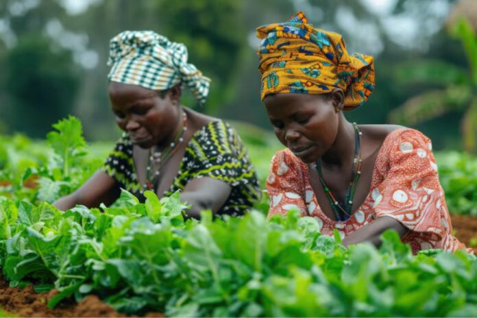 Bénin : la BAD investit près de 70 milliards de francs CFA pour moderniser l’agriculture des Savanes Bénin : la BAD investit près de 70 milliards de francs CFA pour moderniser l’agriculture des Savanes