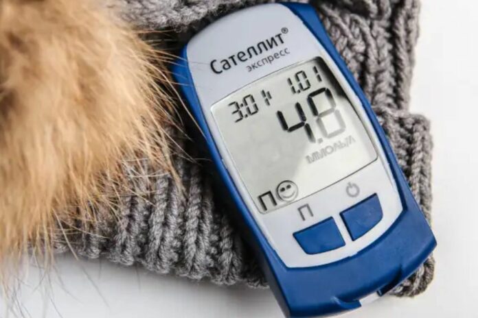 Hyperglycémie : 10 solutions naturelles pour réguler sa glycémie