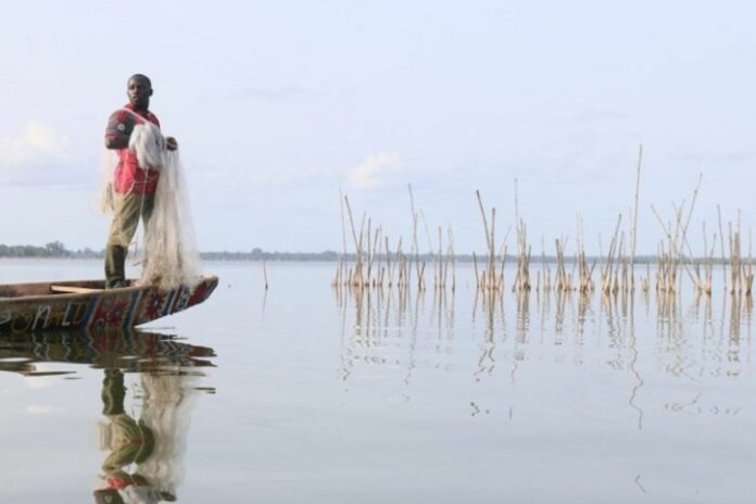 En Côte d’Ivoire, la filière halieutique a généré plus de 680 000 emplois