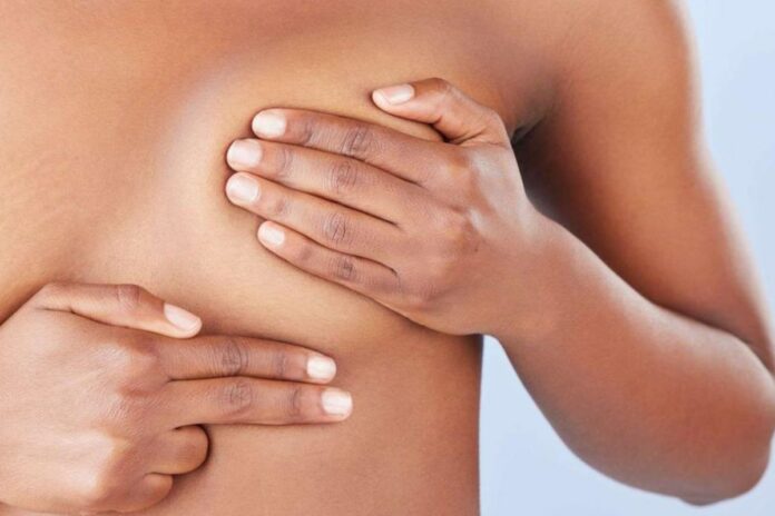 Cancer du sein : l’IA réalise des progrès majeurs dans le dépistage, selon une étude