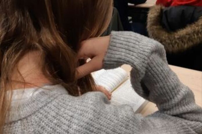 France : un professeur placé en garde à vue pour relation sexuelle avec une collégienne