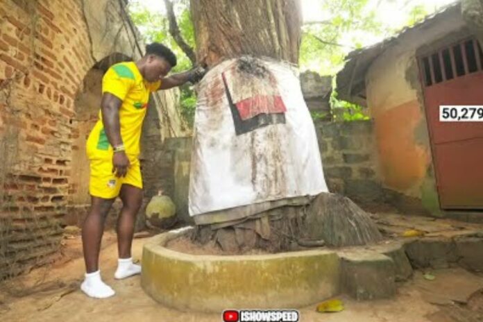 Les 10 choses à retenir du passage d’IShowSpeed au Bénin