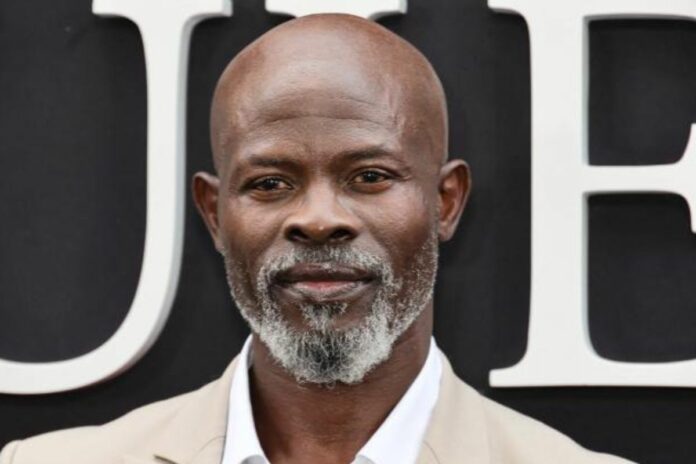 Djimon Hounsou : l'ex-compagne de l'acteur béninois arrêtée pour violences conjugales