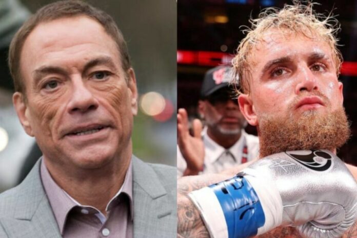 Boxe Van Damme Jake Paul