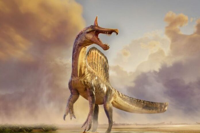 Niger Spinosaurus désert