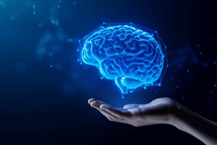 Santé mentale hormones cerveau